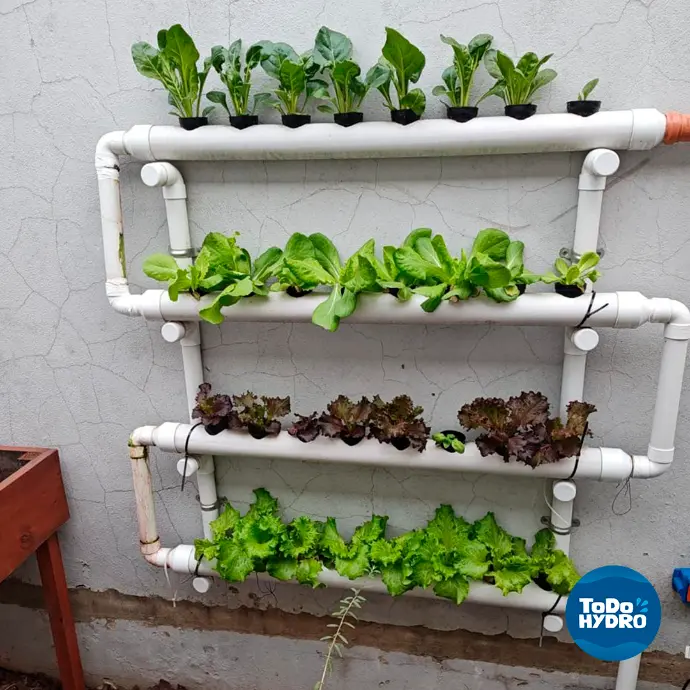 Como fazer uma horta vertical