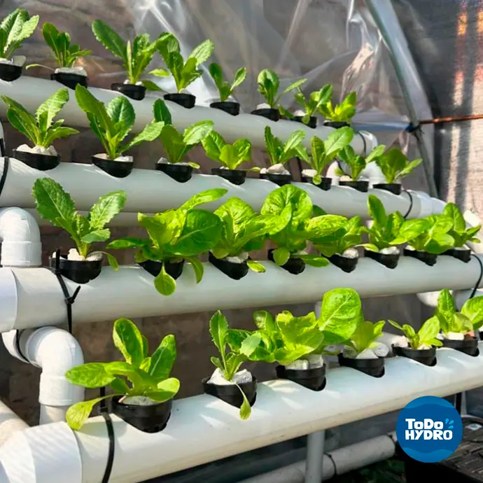 Hidroponia facil