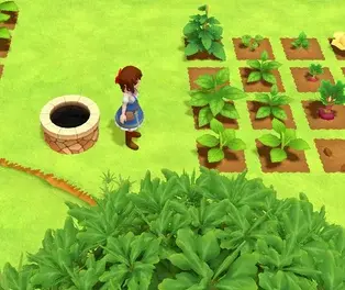 Jogo Salve o Planeta Hidropônico