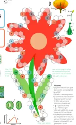 Jogo para aprender sobre nutrientes