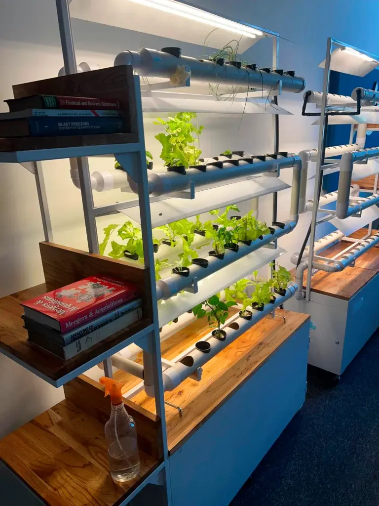 Sistemas decorativos para doação