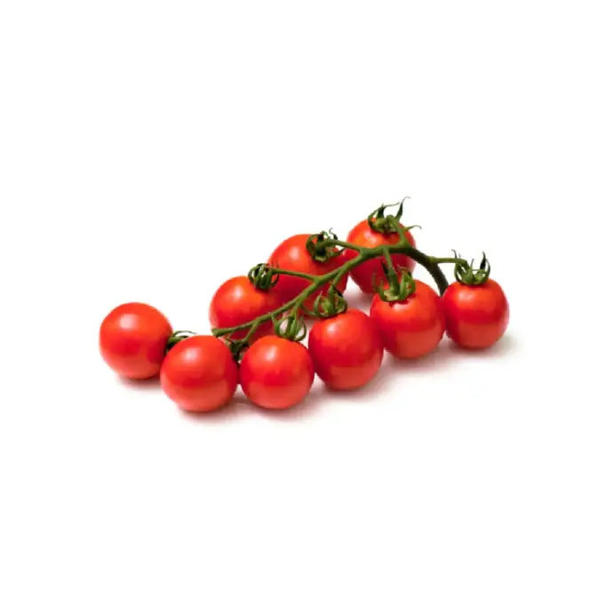 Tomate cereja hidroponico