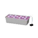esq-11-1.webp