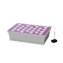 esq-25-1.webp