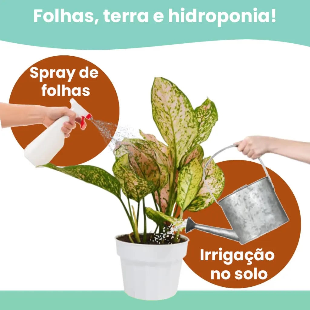 Neem-Forte-4.webp