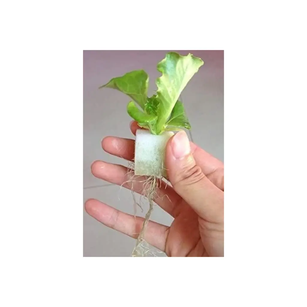 sponge_cube-2.webp