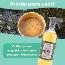 Neem-Extra-3.webp
