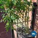 SAMEPL_5-o2.webp