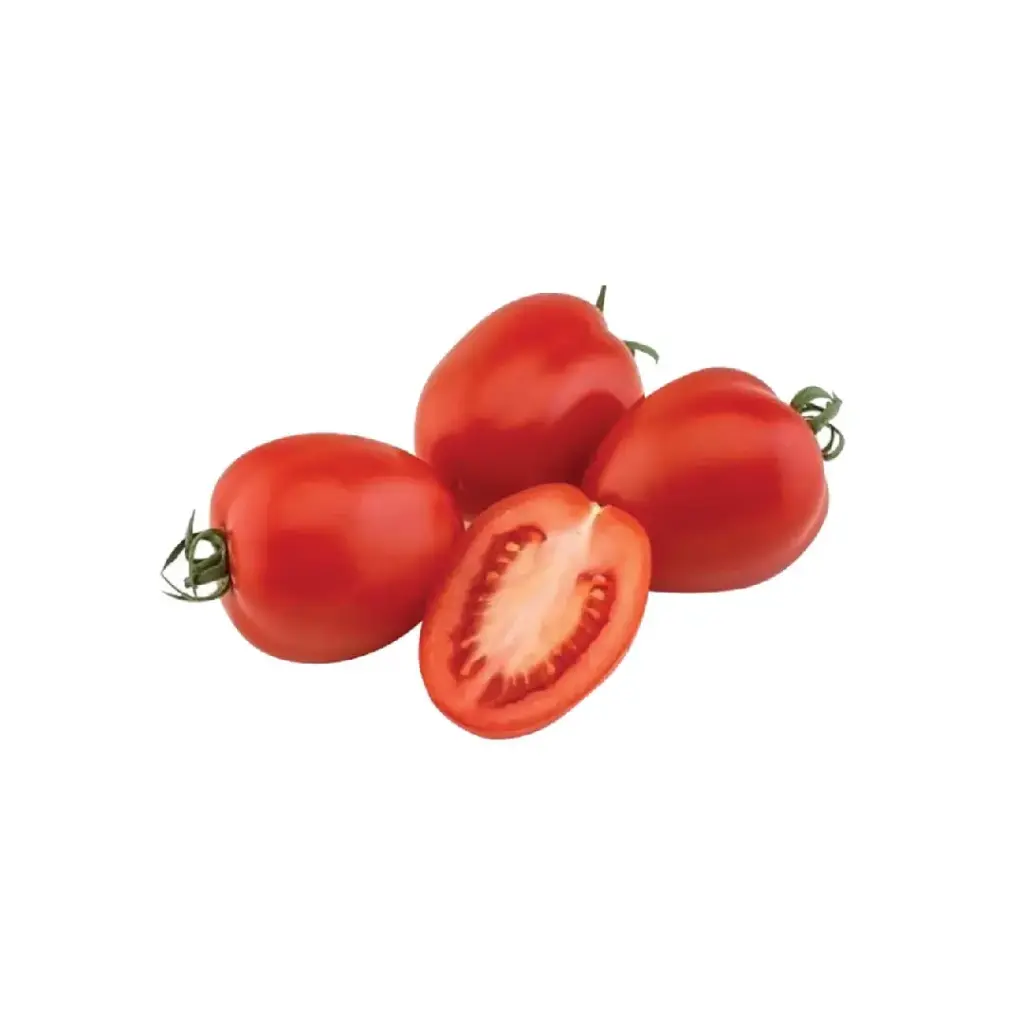 Tomate Italiano