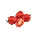 Tomate Italiano