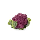 Couve-flor Roxa