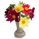 Flor Dália Coldness