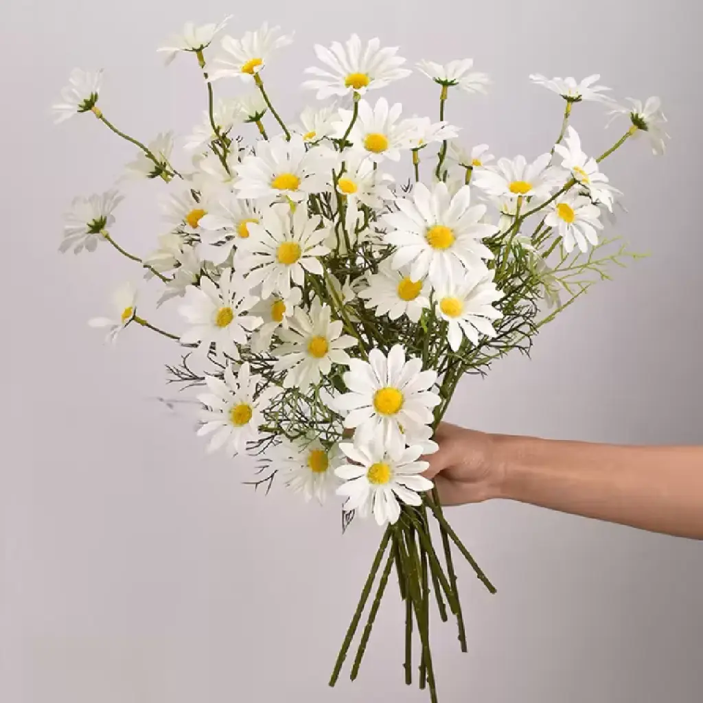 Flor Margarida Branca