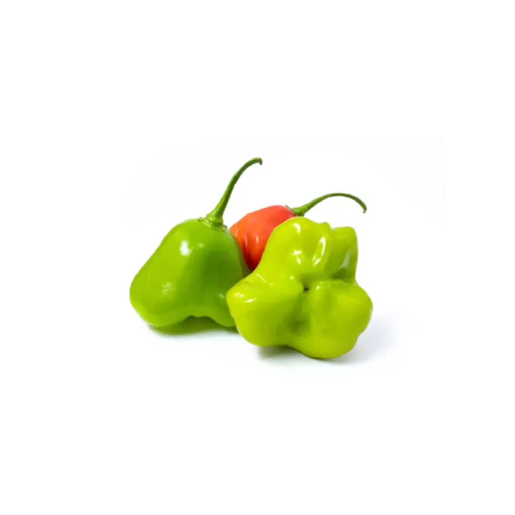 Pimenta Cambuci