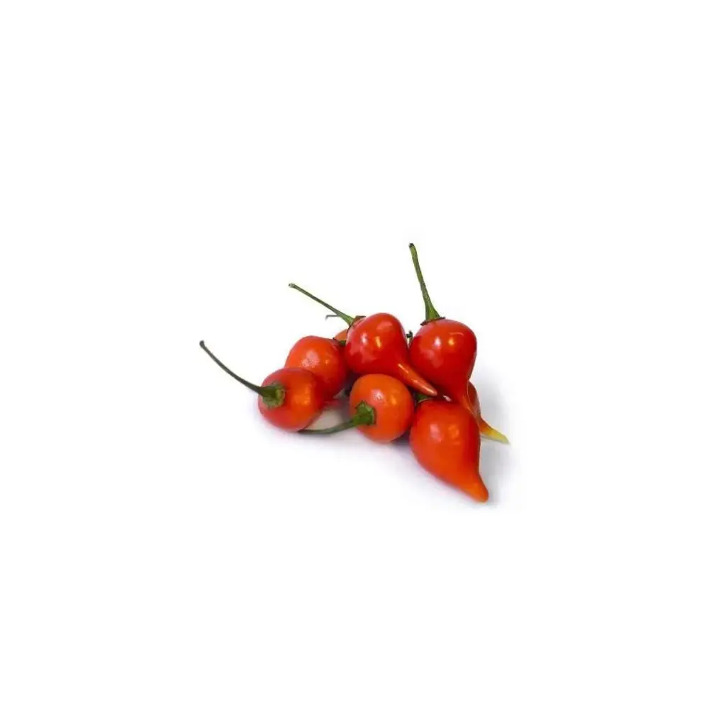 [SEM-00183] Pimenta Piãozinho