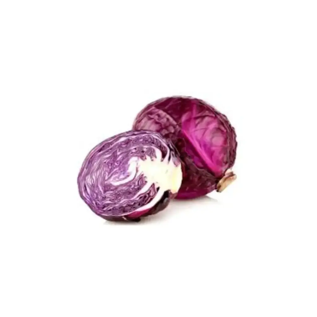 Repolho Roxo