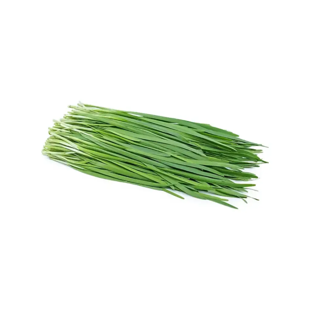 Cebolinha