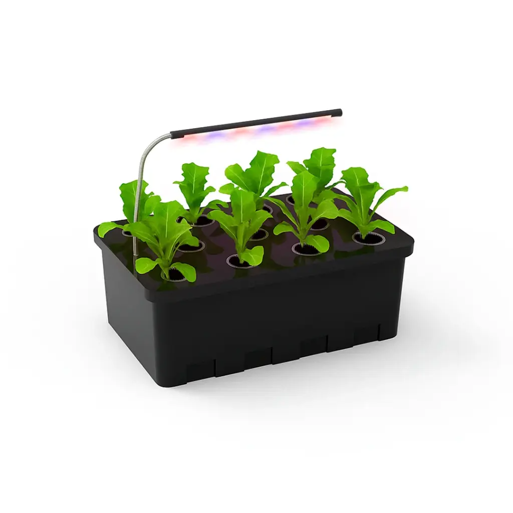 Cloner Aeropônico de 11 Estacas com LED e Nutrientes