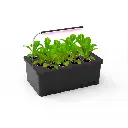 Cloner Aeropônico de 18 Estacas com LED e Nutrientes