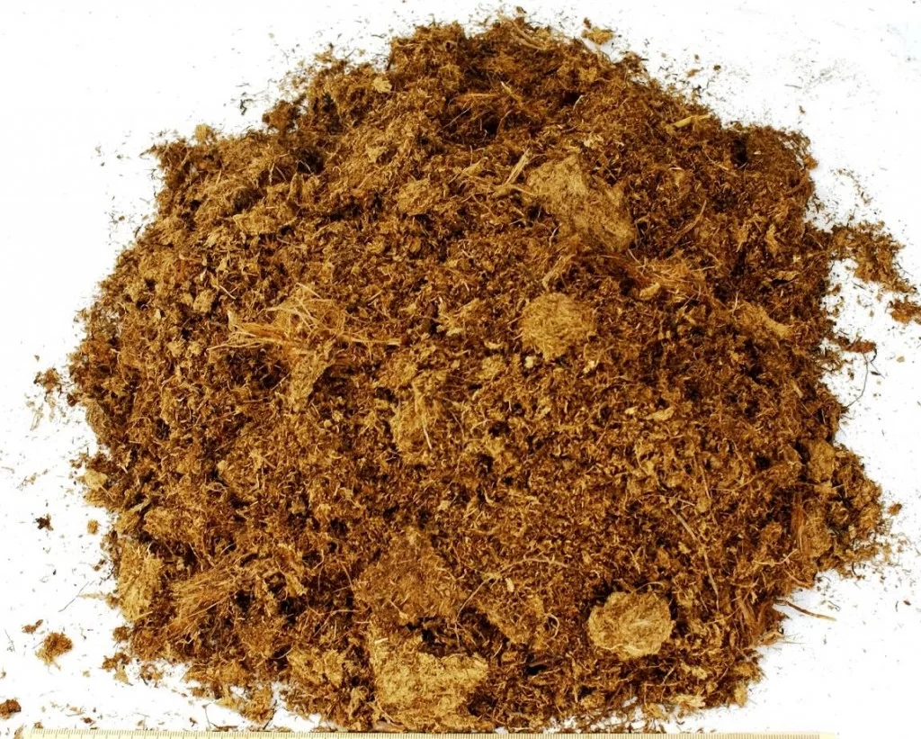 Turfa Loira Premium Substrato Natural Cultivos
