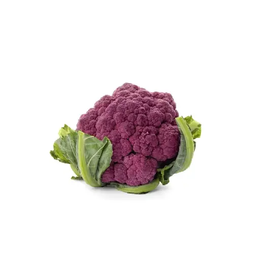 [SEED1-10] Couve-flor Roxa
