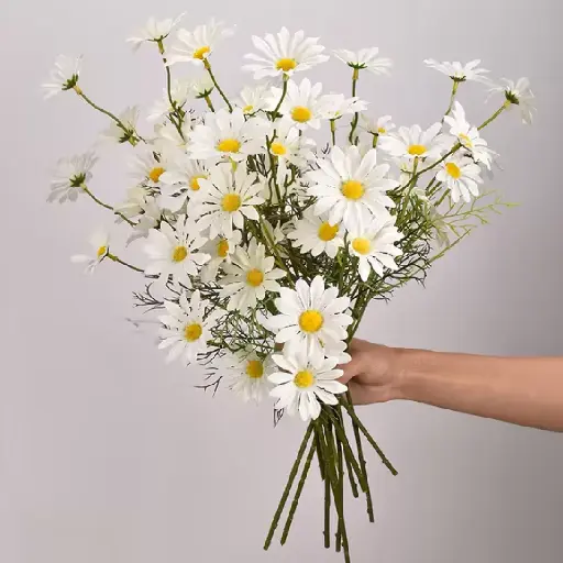 [SEED1-17] Flor Margarida Branca