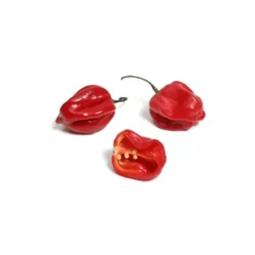 [SEED1-20] Pimenta Habanero Red